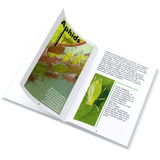 The Essential Gardening Book - Essential Oil Magic 